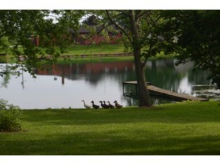 Property photo 8 - REAL ESTATE & PERSONAL PROPERTY AUCTION - 2 DATES - IN 2 TRACTS IN DEKALB COUNTY, INDIANA